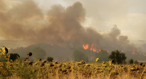 Incendi in Puglia, evacuati turisti tra Salento e Foggiano